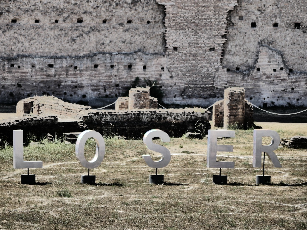 The Fogorellis Go Feral