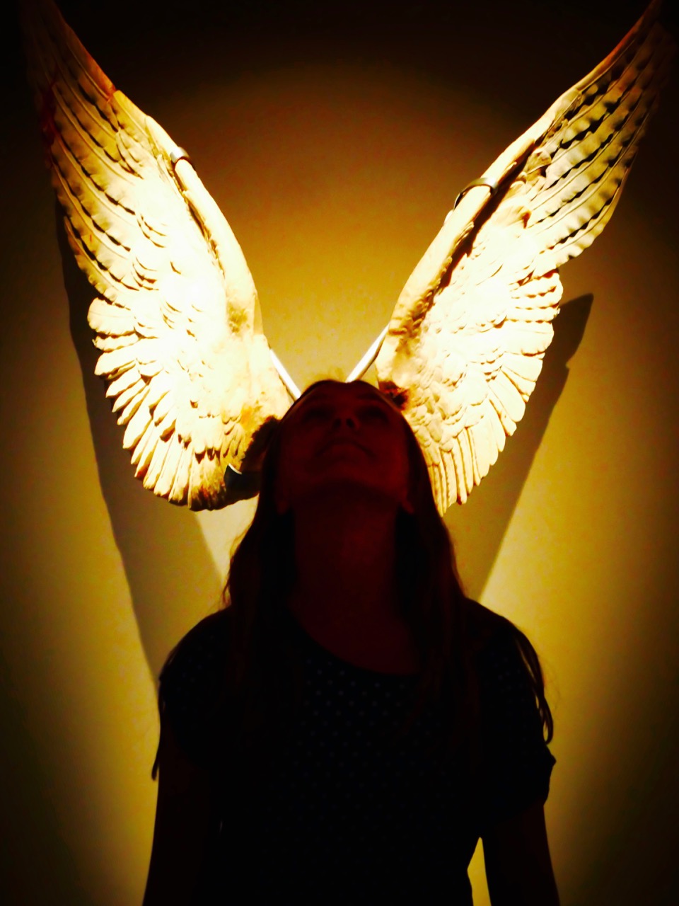 The Fogorellis Go Feral