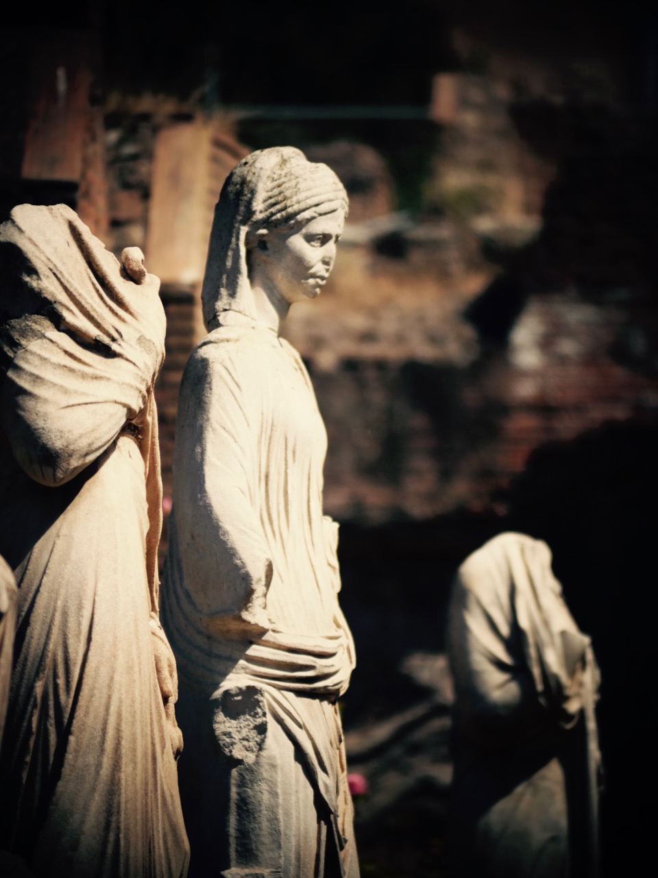 The Fogorellis Go Feral