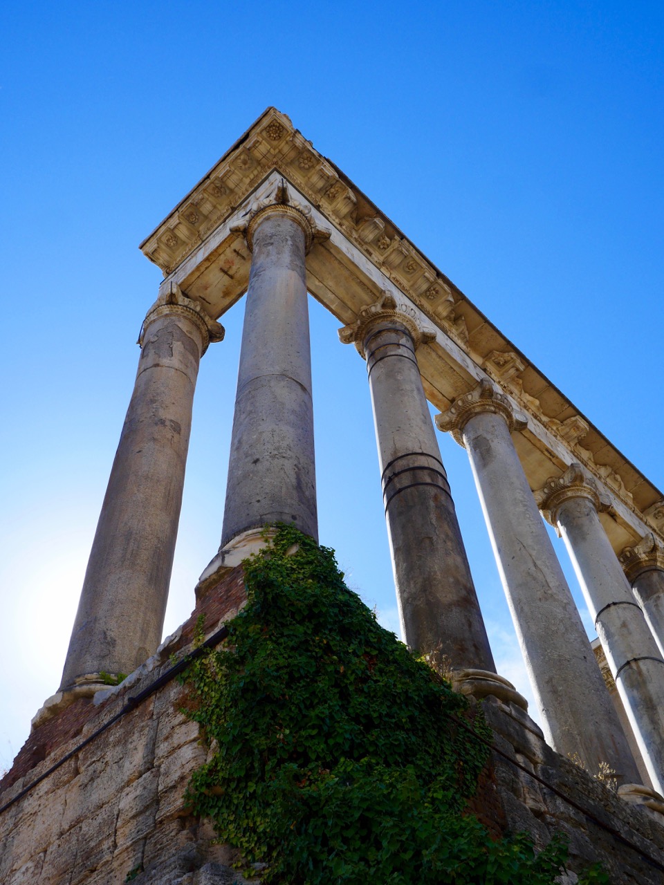 The Fogorellis Go Feral