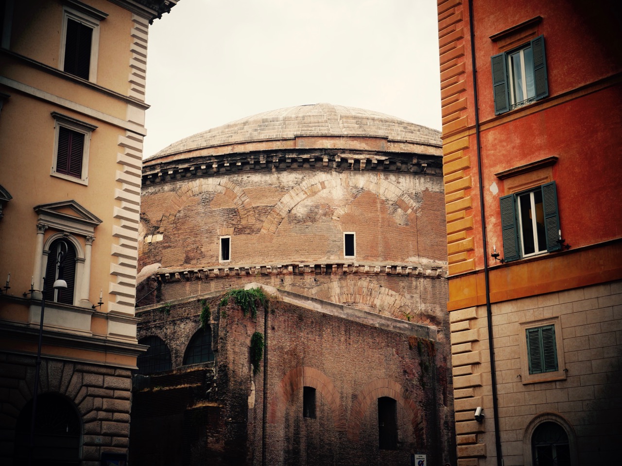 The Fogorellis Go Feral