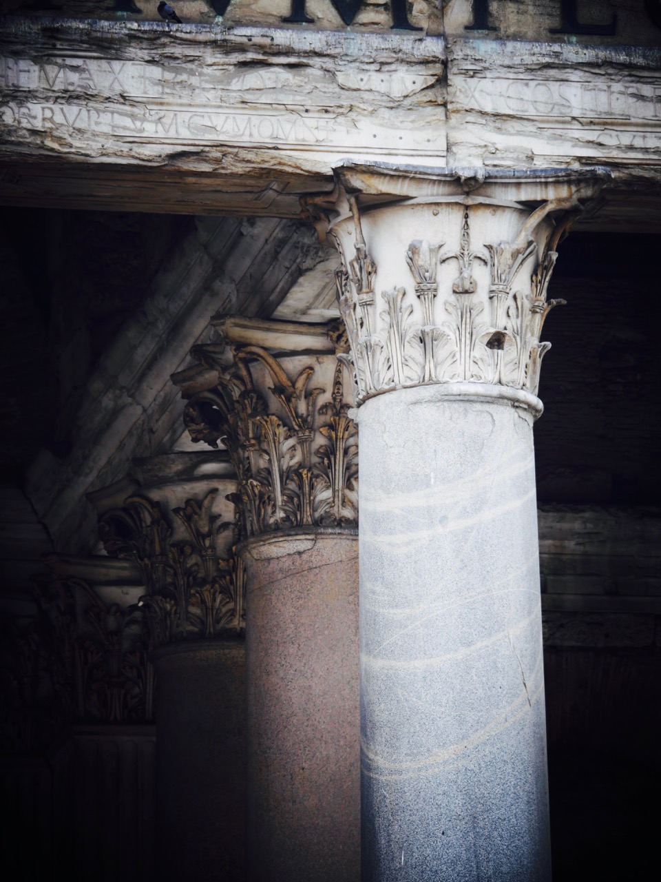 The Fogorellis Go Feral