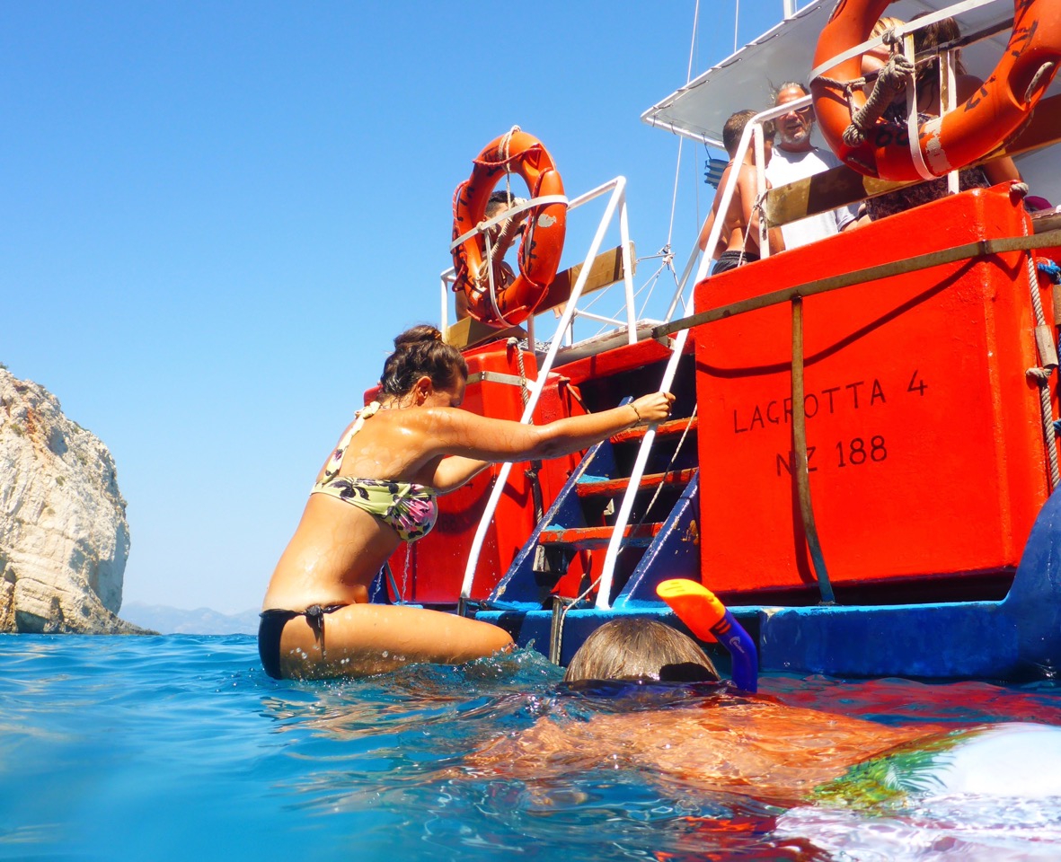 The Fogorellis Go Feral