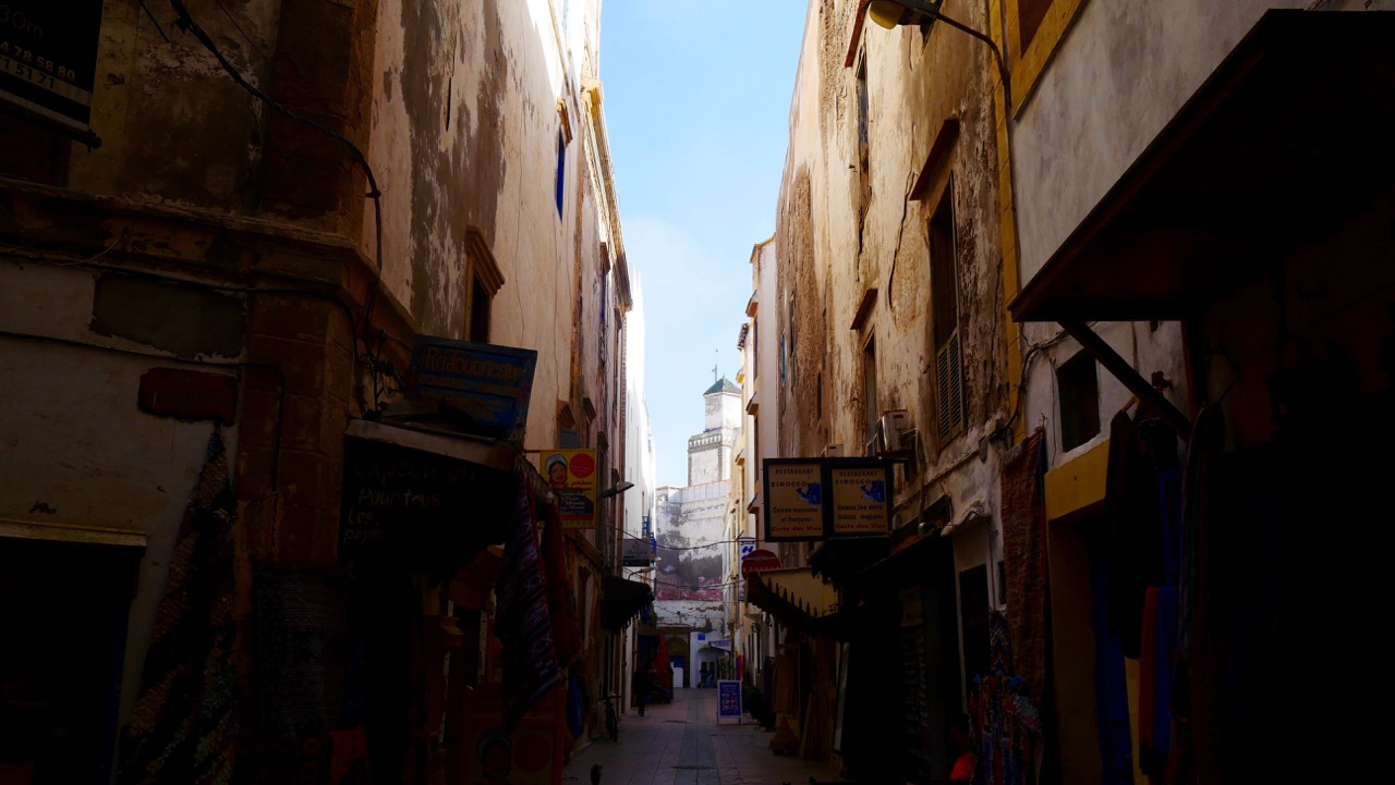 The Fogorellis Go Feral